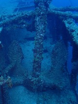 guam510cormoran