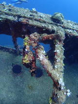 guam810tokai2