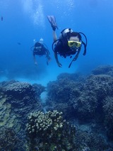 guam106intro5