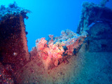 guam327bakurai 1
