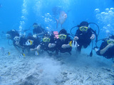 guam810intro7