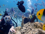 guam329intro4