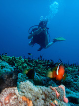 guam710gab4