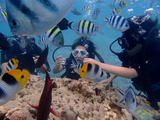 guam828robi4