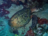 PB090133