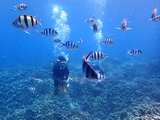 guam405bintro7