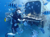 guam512vel3