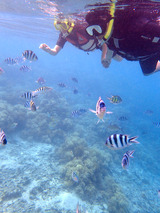 guam807eco6