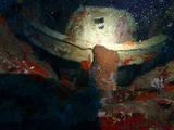 PA280082