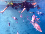 guam807eco5