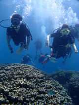 guam505intro6