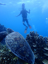guam405bintro6