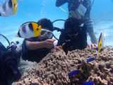 guam422intro5