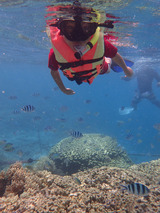 guam807eco7