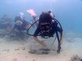 guam828robi1