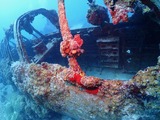 guam920myrt6