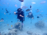 guam828robi3