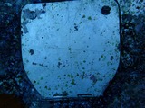 P1010066