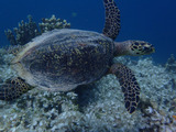 guam418val2