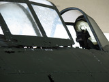 guam413sisenkai4