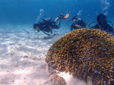 guam422intro2