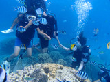 guam422intro4