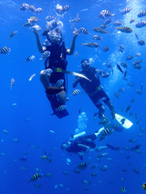 guam405bintro9