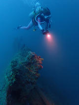 guam306cormoran2