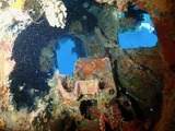 guam914emily9