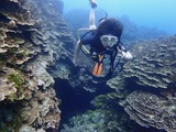 guam101aito