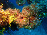 guam524chain1