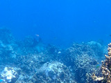 guam430intro2