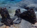 guam608scotia1