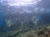 guam831pier