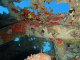 PA280078