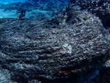 guam419scotia1
