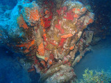 guam823ws3