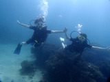 guam602intro2
