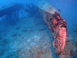 guam902jake2