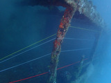 guam923cormoran3