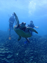 guam405bintro4