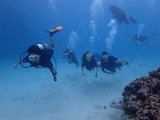guam108intro1