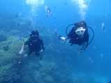 guam514intro6