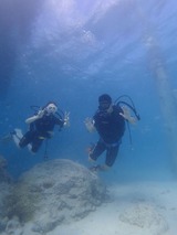 PB030059