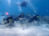guam505intro2