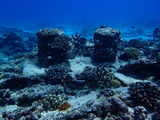 guam419scotia4