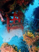 guam103reisui3