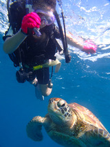guam506scuba5