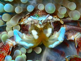 guam613yadokari