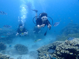 guam516intro6
